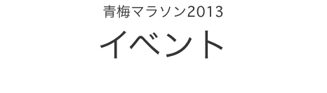 �~�}���\��2013