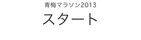 �~�}���\��2013