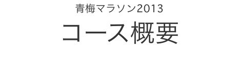 �~�}���\��2013