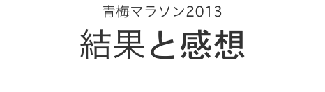 �~�}���\��2013