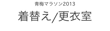 �~�}���\��2013