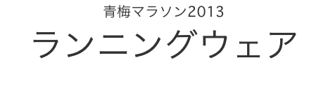 �~�}���\��2013