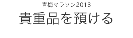 �~�}���\��2013