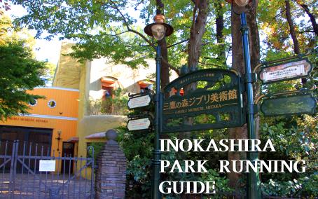 ���֥����Ѵۤμ̿�