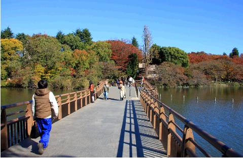 ���Ƭ�Ӥˤ����뼷�涶�μ̿�